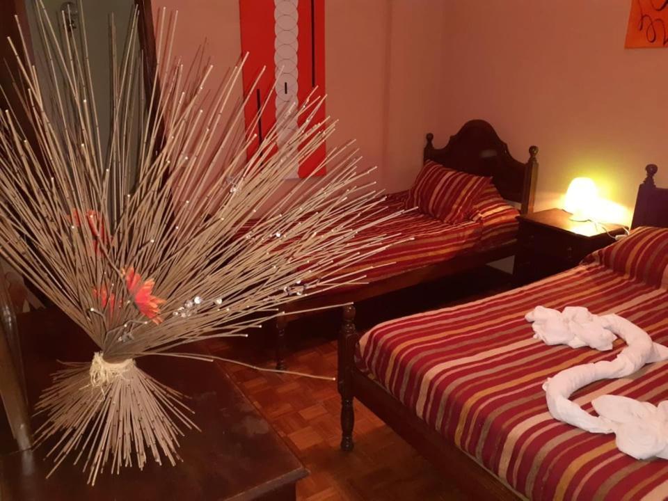 Seia Alojamentos Leitao المظهر الخارجي الصورة